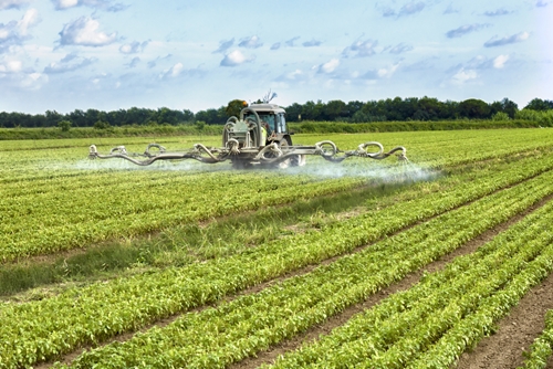How to keep pesticide workers safe